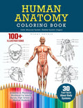 Human Anatomy Coloring Book