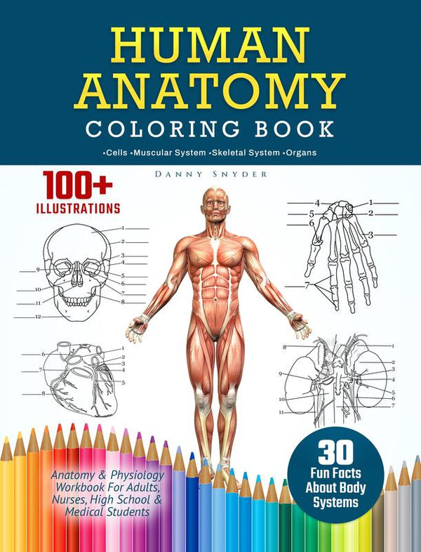 Human Anatomy Coloring Book